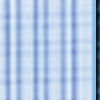 White/Newport Blue Check
